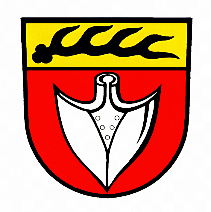 Wappen Reichenbach a.d.F.